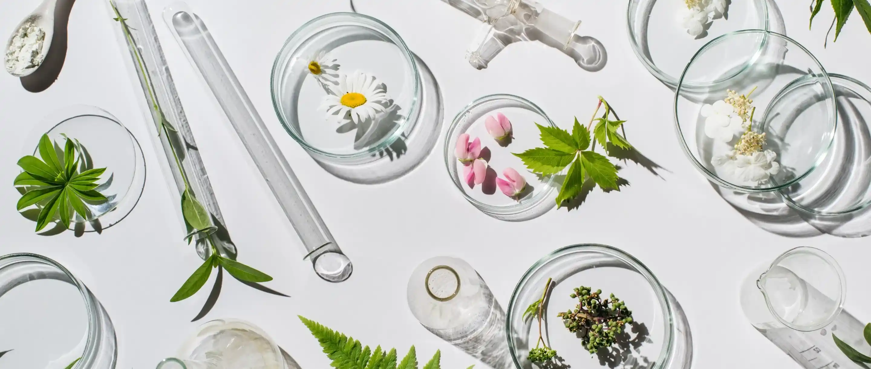 Article publié dans Beauté test