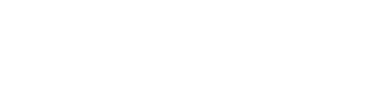 Pleine Vie